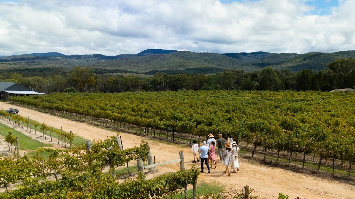 Stunning vineyard strolls at Balancing Heart Vineyard on the Granite Belt, South-East Queensland