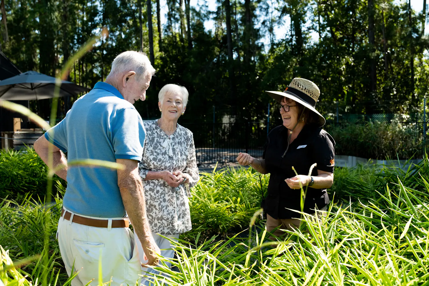 Ginger Growing and Harvest Tour