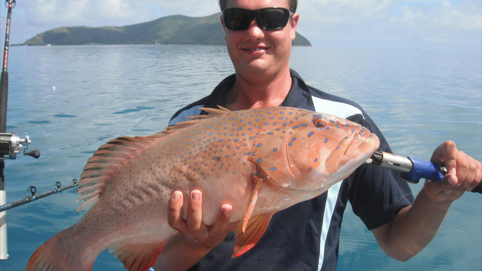 Caught off Hayman Island