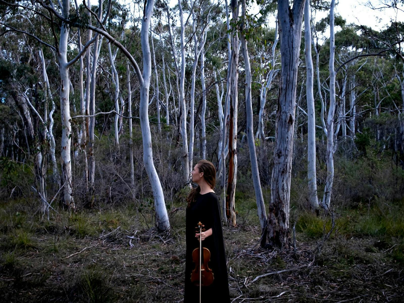 Image for The Lyrebird Festival - Megalong Valley