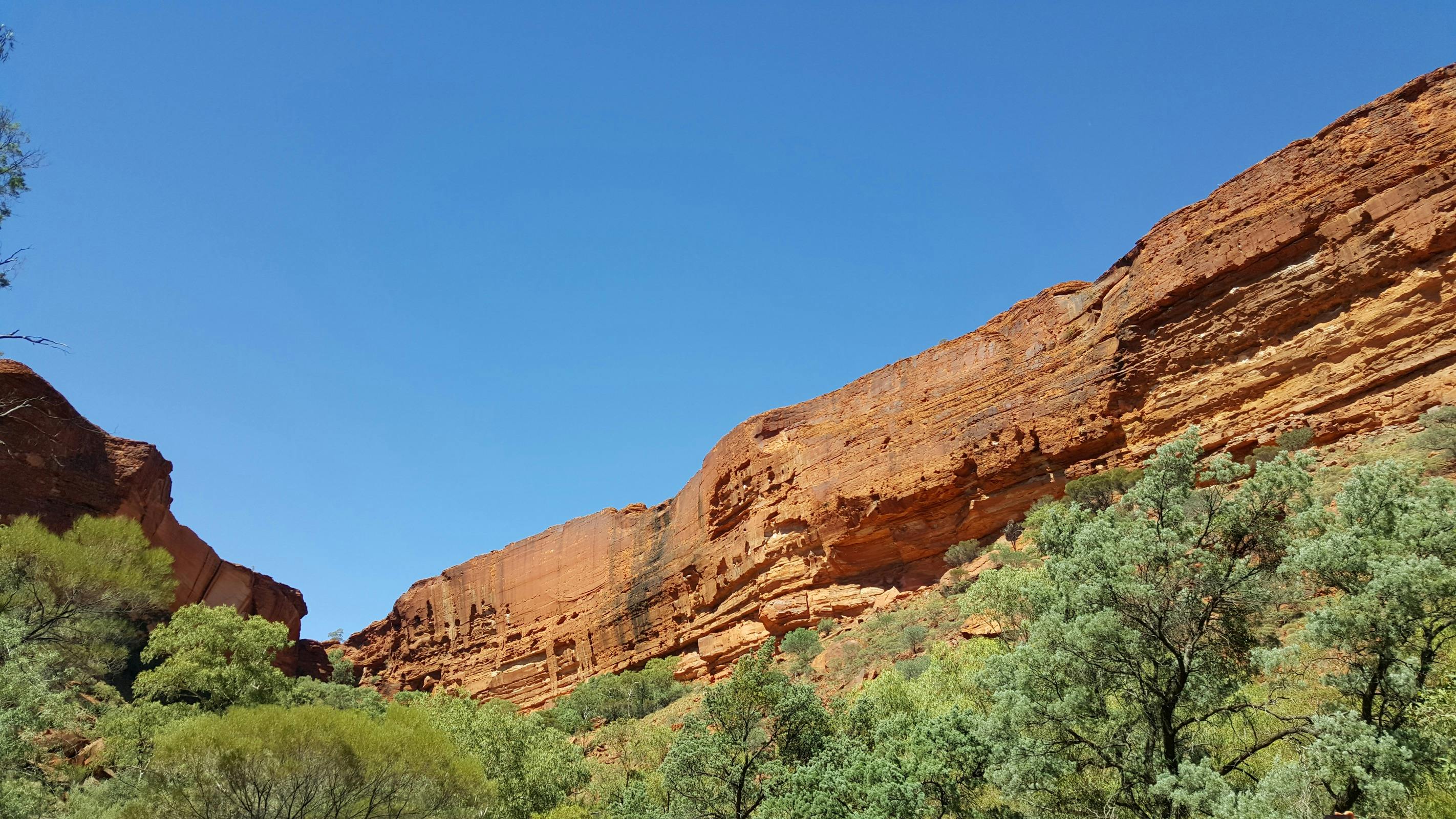 Take the easy Kings Canyon Base Walk or join your guide for the popular Kings Canyon Rim Walk.