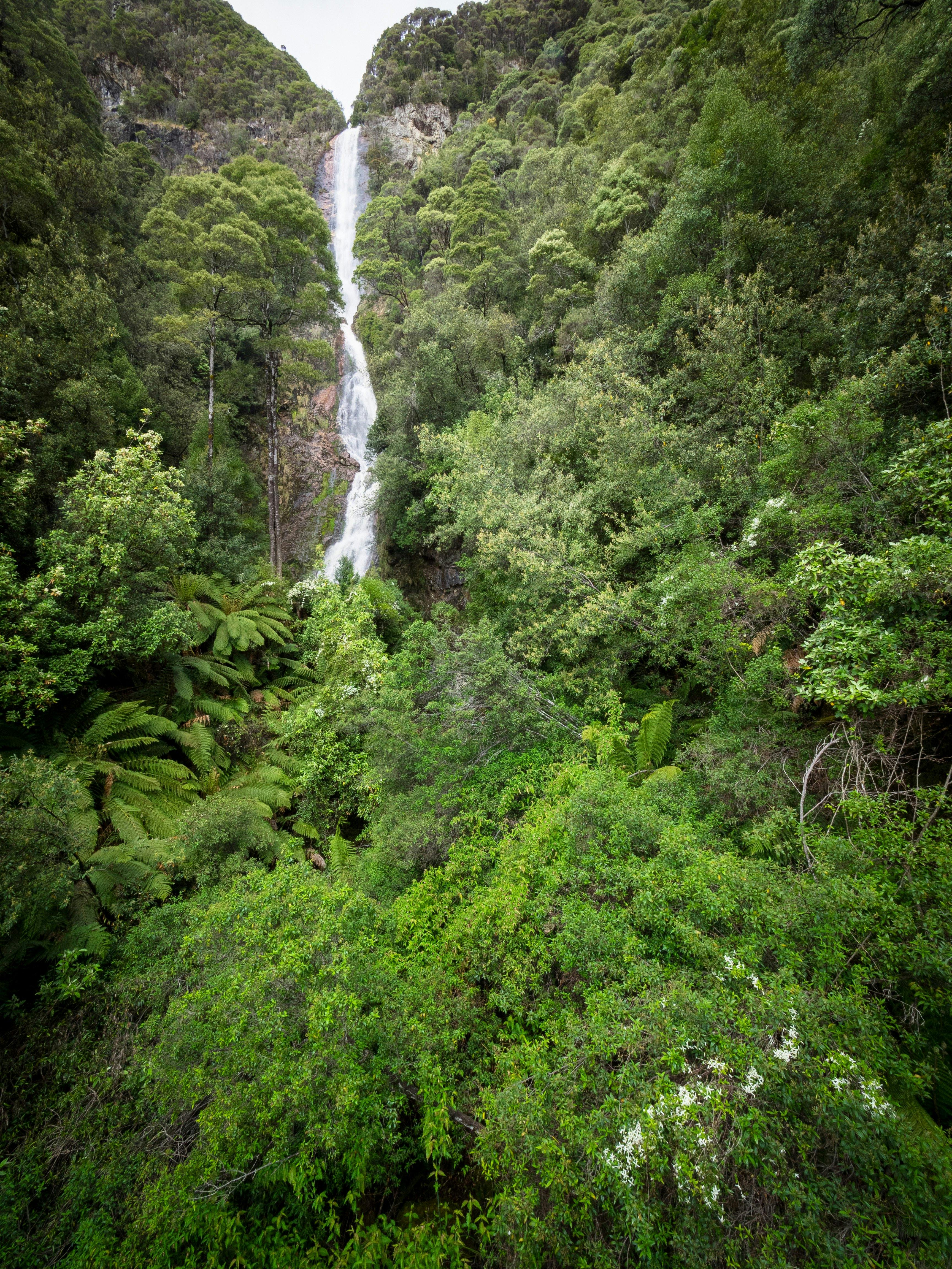 Montezuma Falls – Great Short Walk
