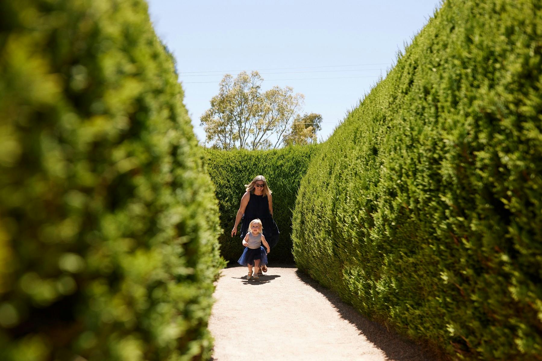 Mintaro Maze the Final Siren