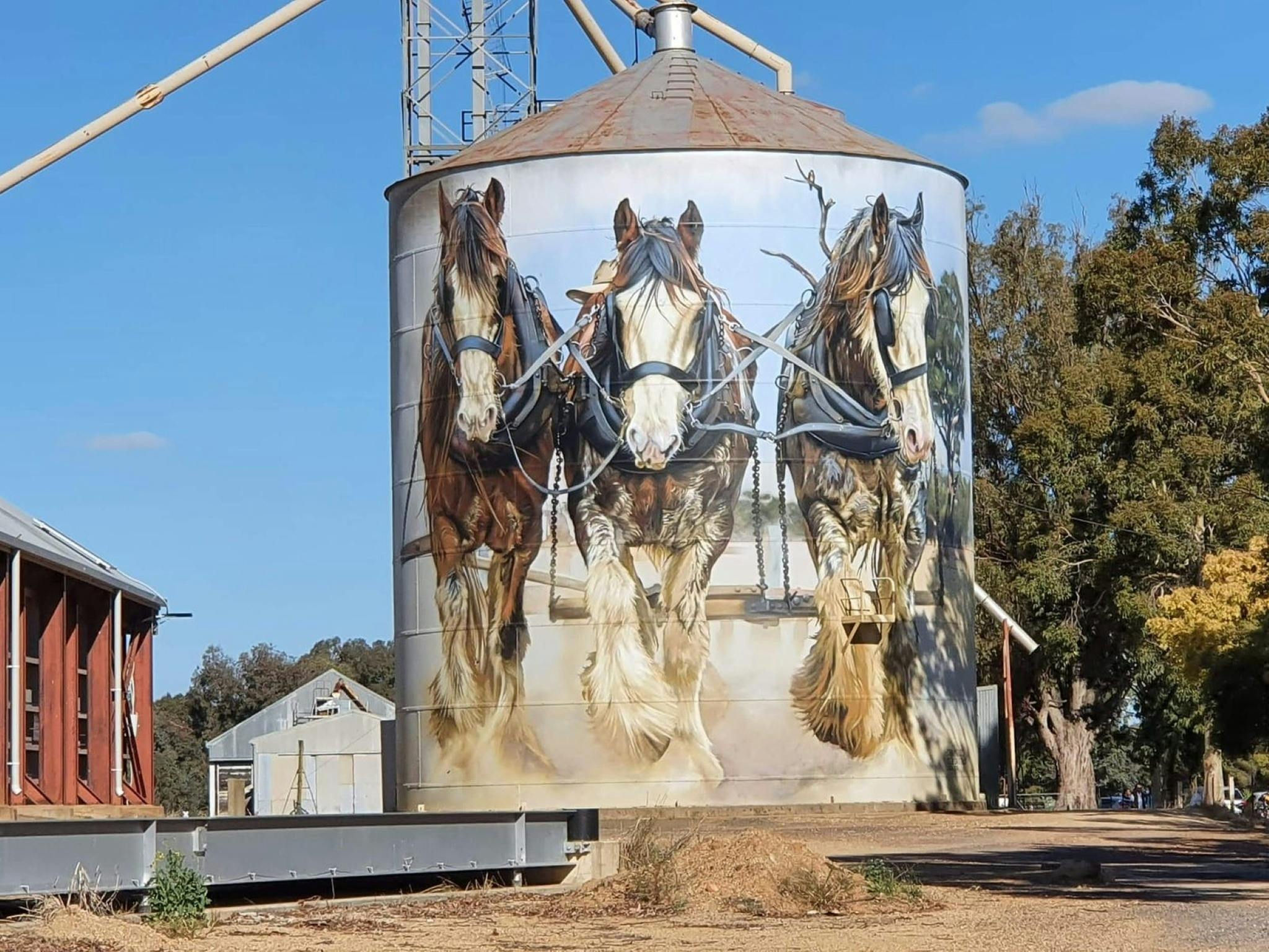 Stories on the Silos - Daytrips with Altitude