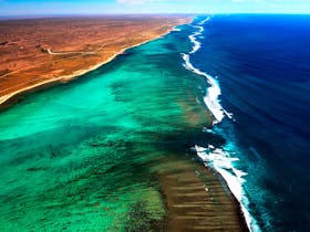 Ningaloo Reef
