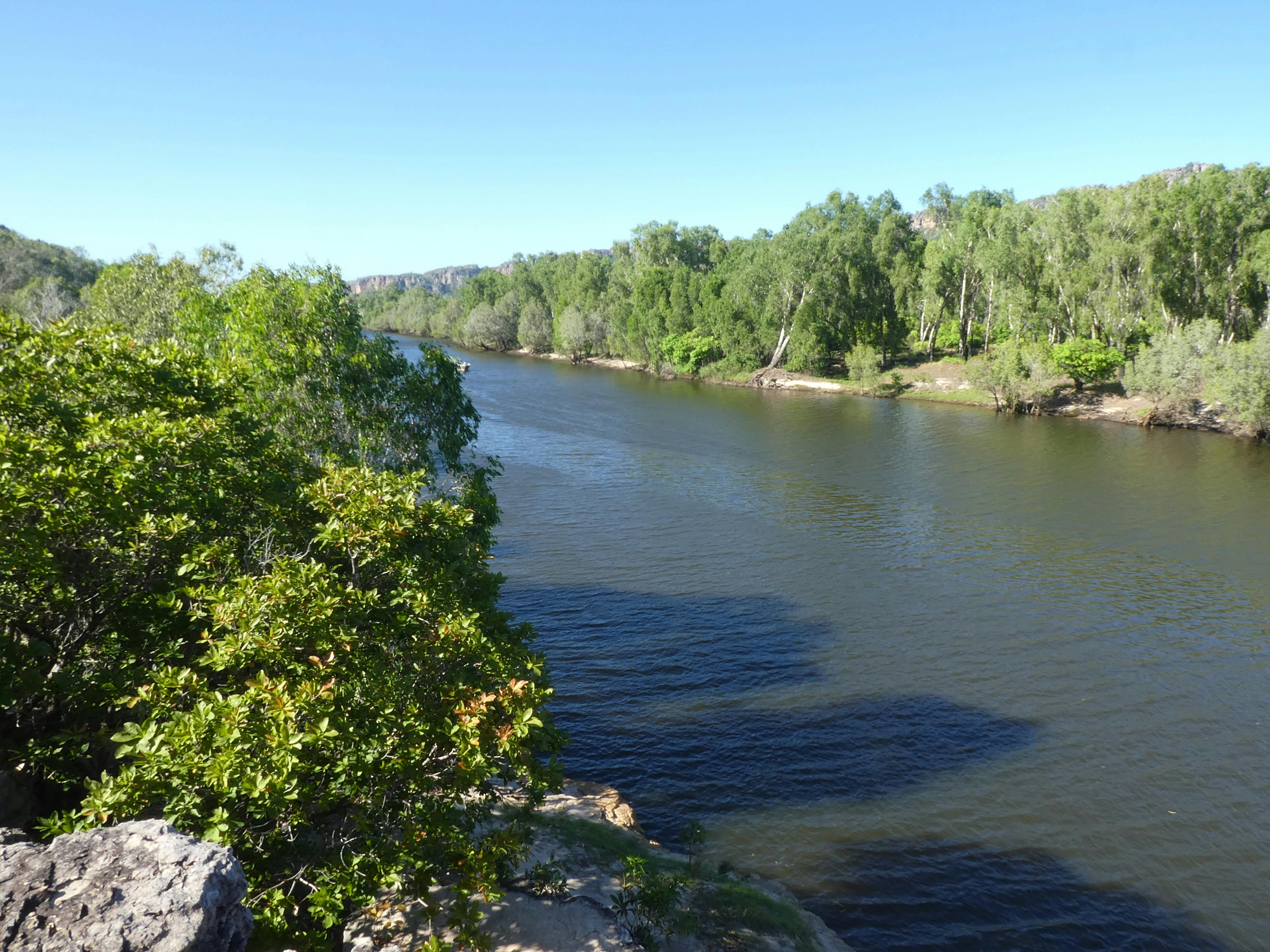 East Alligator River