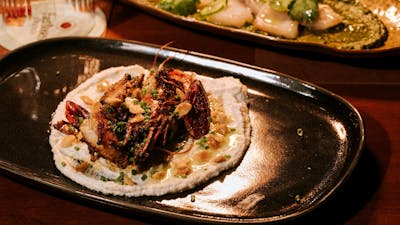 Close-up of a plated meat dish garnished with native greens