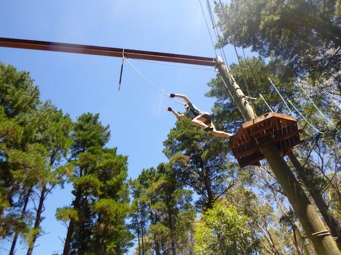 Mighty Yowies Go Wild at Southern Adventure Hub Summer School Holidays