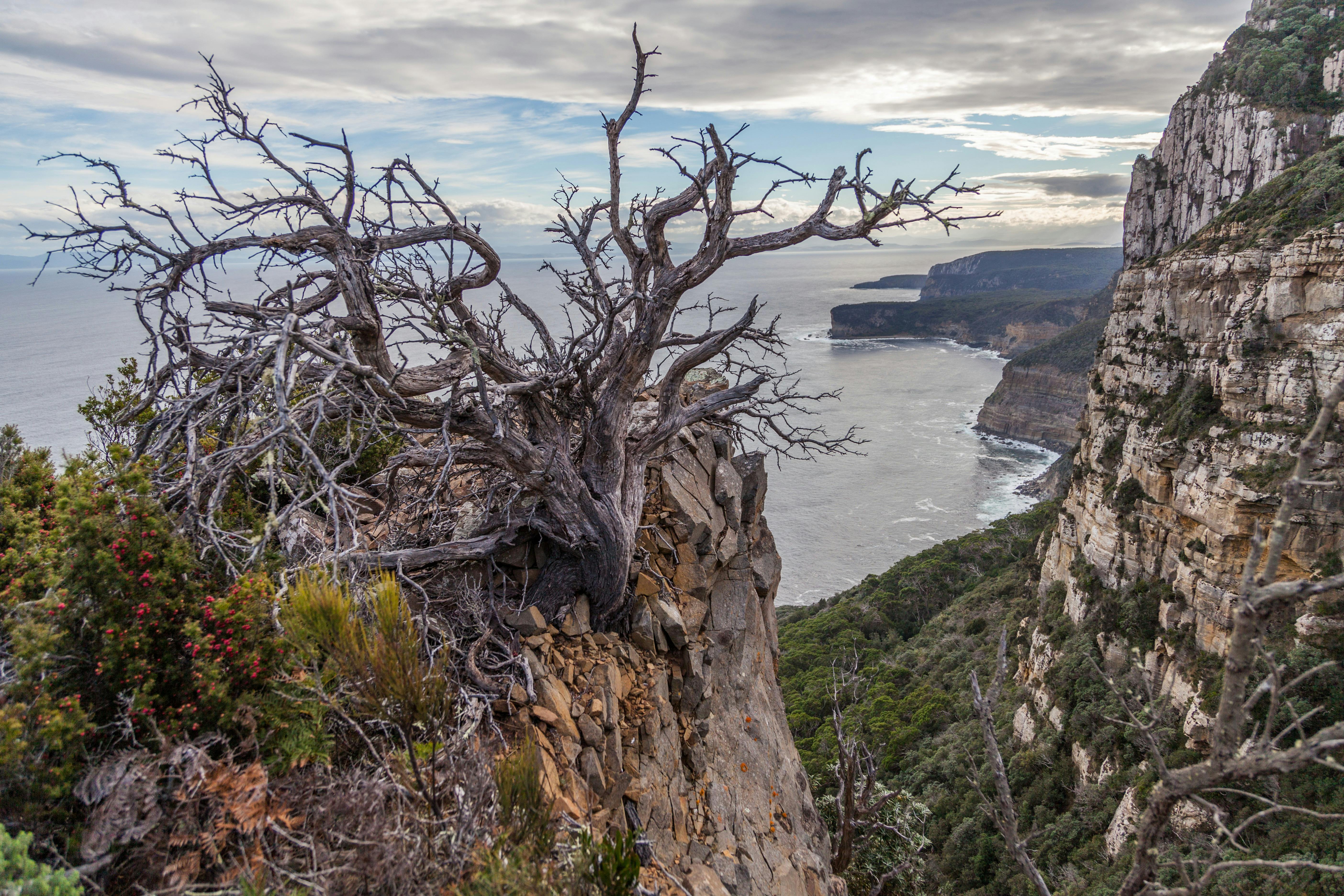 View of Shipstern Bluff from Cape Raoul, Tasman National Park.