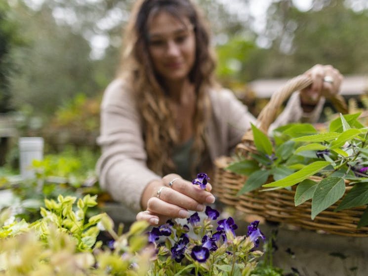 Foraging for organically grown flowers as part of the Foraging & Mixology Workshop