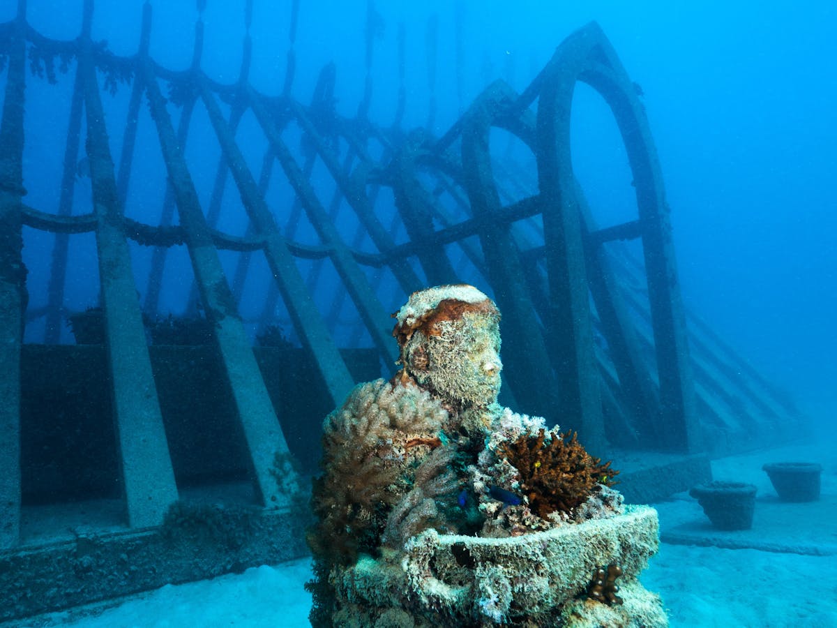 Coral Greenhouse / MOUA / Museum of Underwater Art