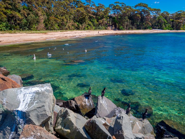 Ulladulla Harbour North Beach