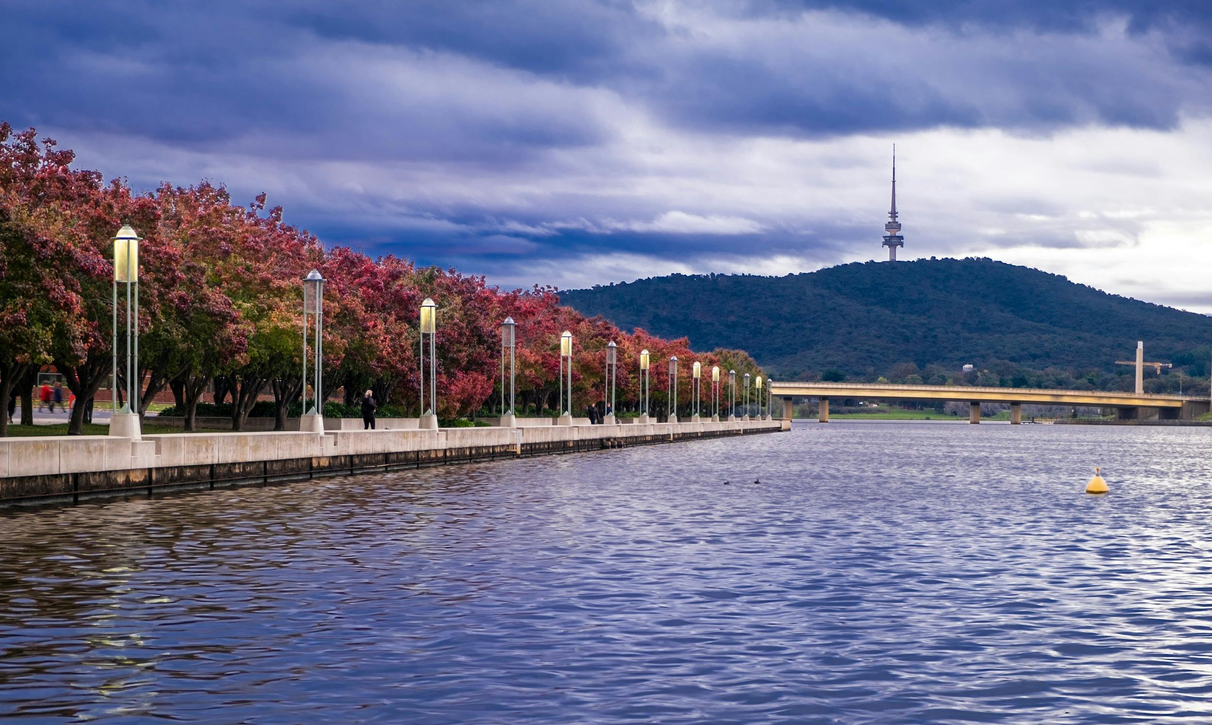 A lake with trees in the background