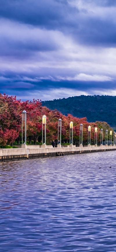 A lake with trees in the background