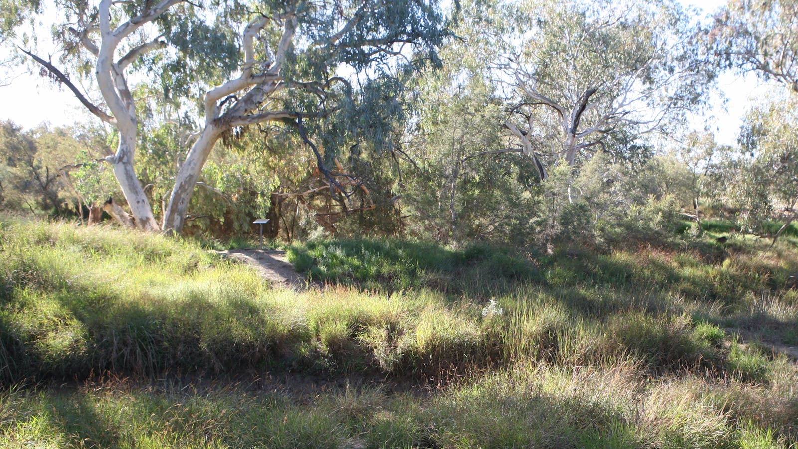Bulloo River Walk