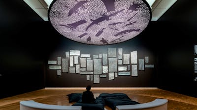 installation view, 5th National Indigenous Art Triennial: After the Rain, National Gallery