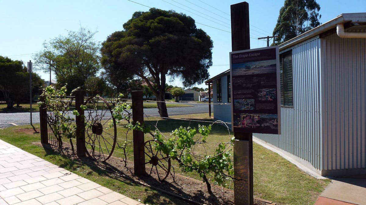South Burnett Visitor Information Centre, Kingaroy