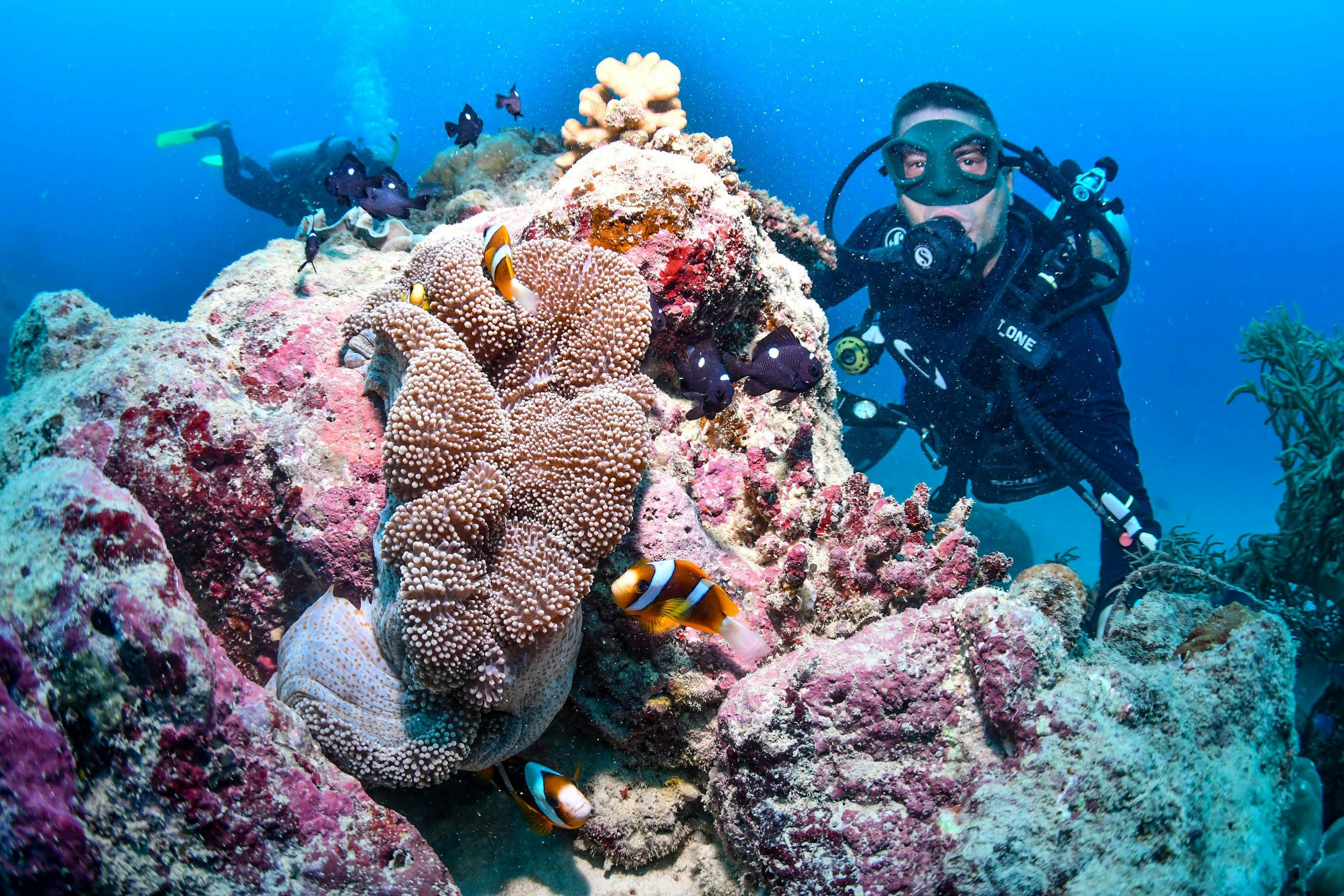 Down Under Cruise & Dive Cairns