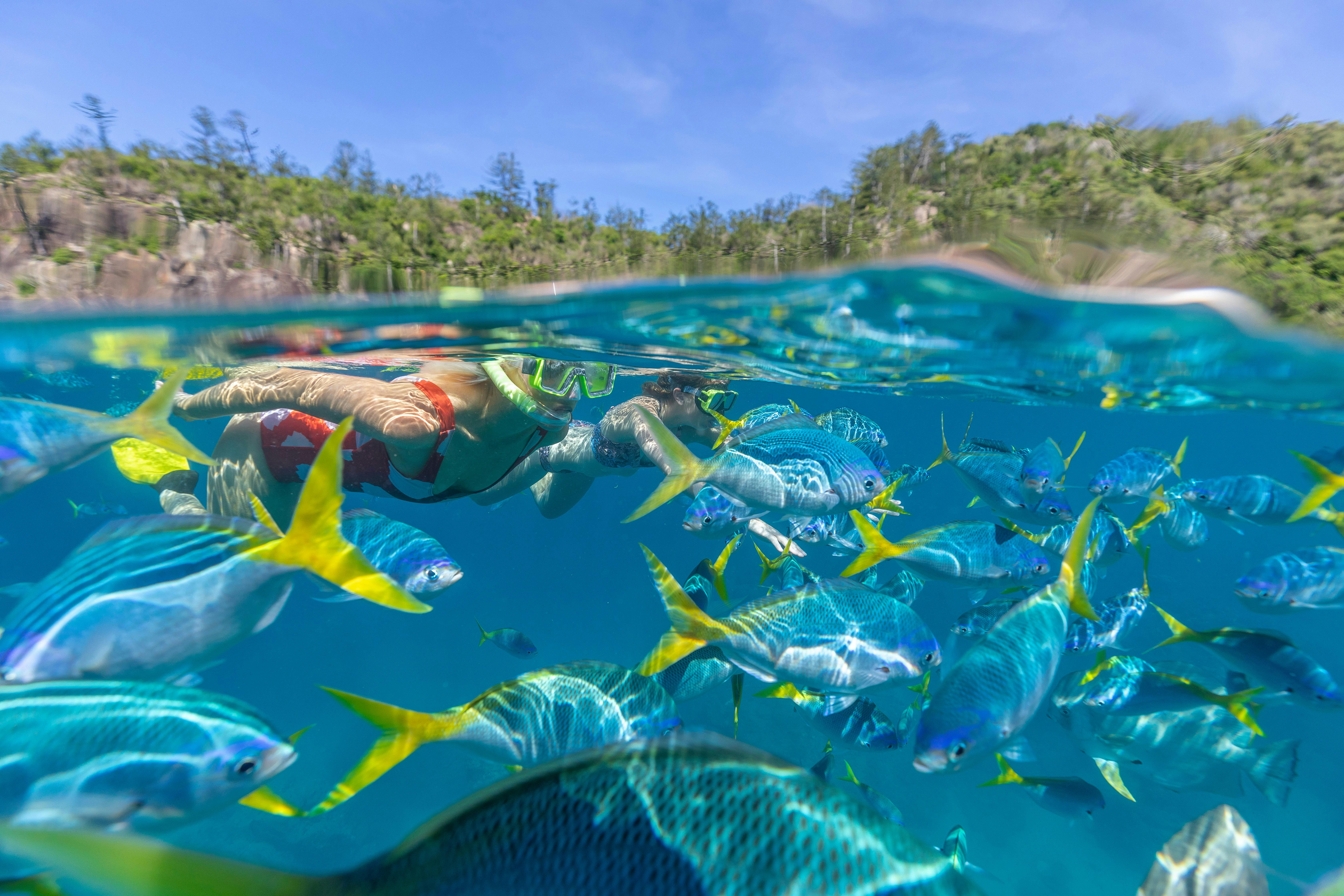 Lady Enid Langford Island Snorkelling