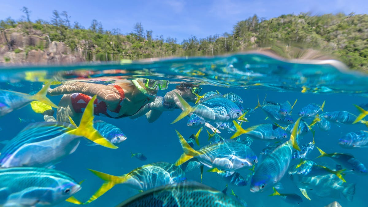 Lady Enid Langford Island Snorkelling