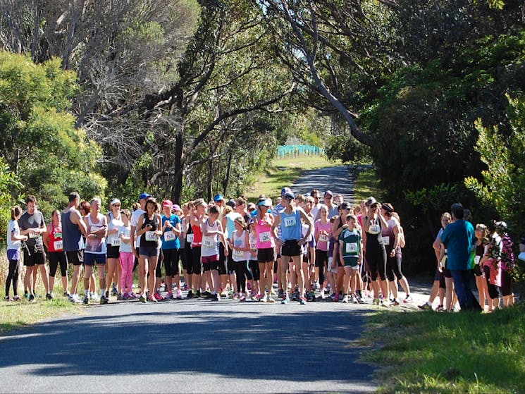 ReBoot in Bermagui