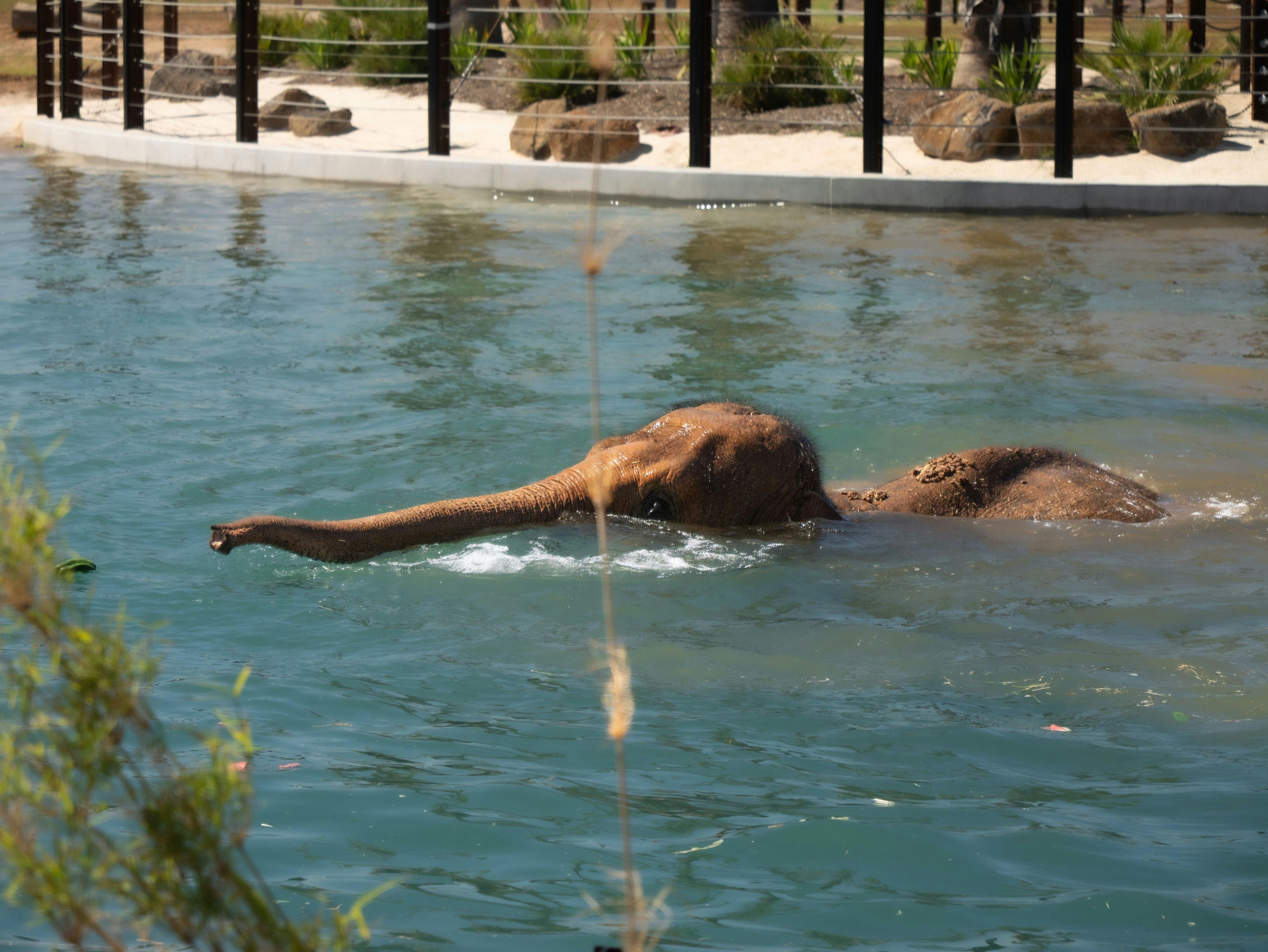 Werribee Open Range Zoo