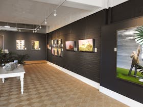 Studio Amsterdam gallery Maitland