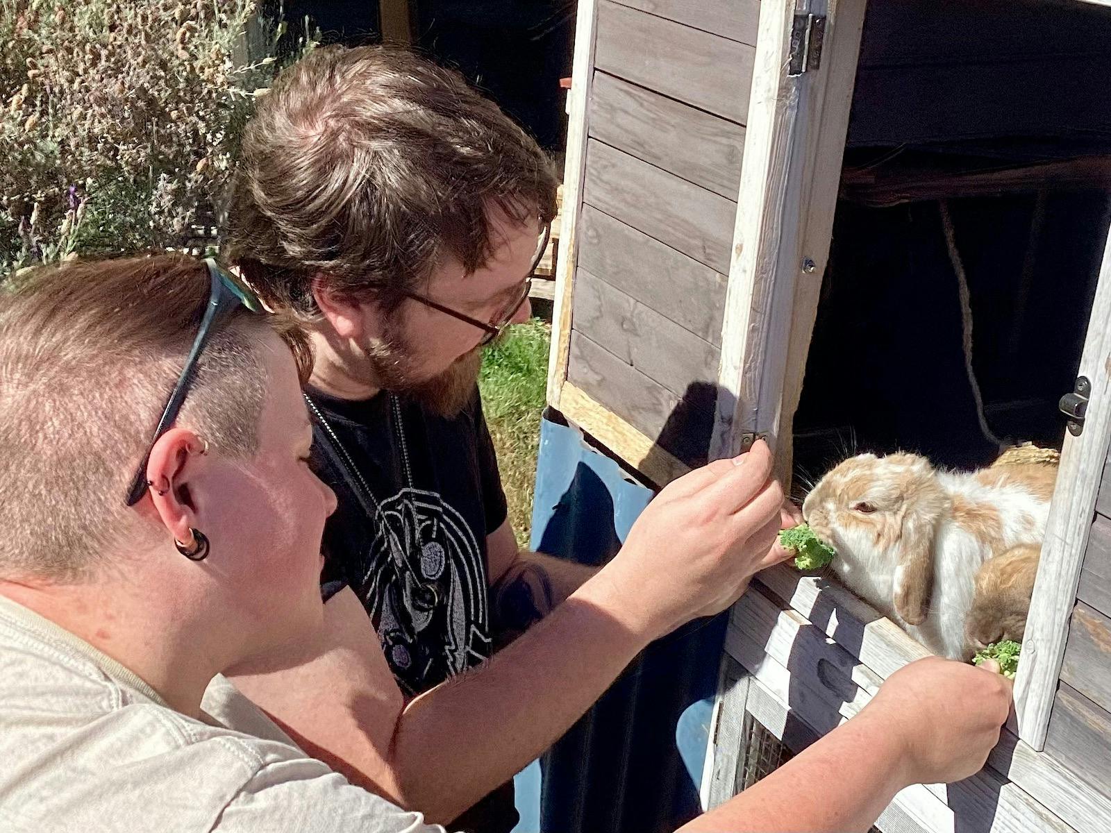 Couple feeding the bunnies