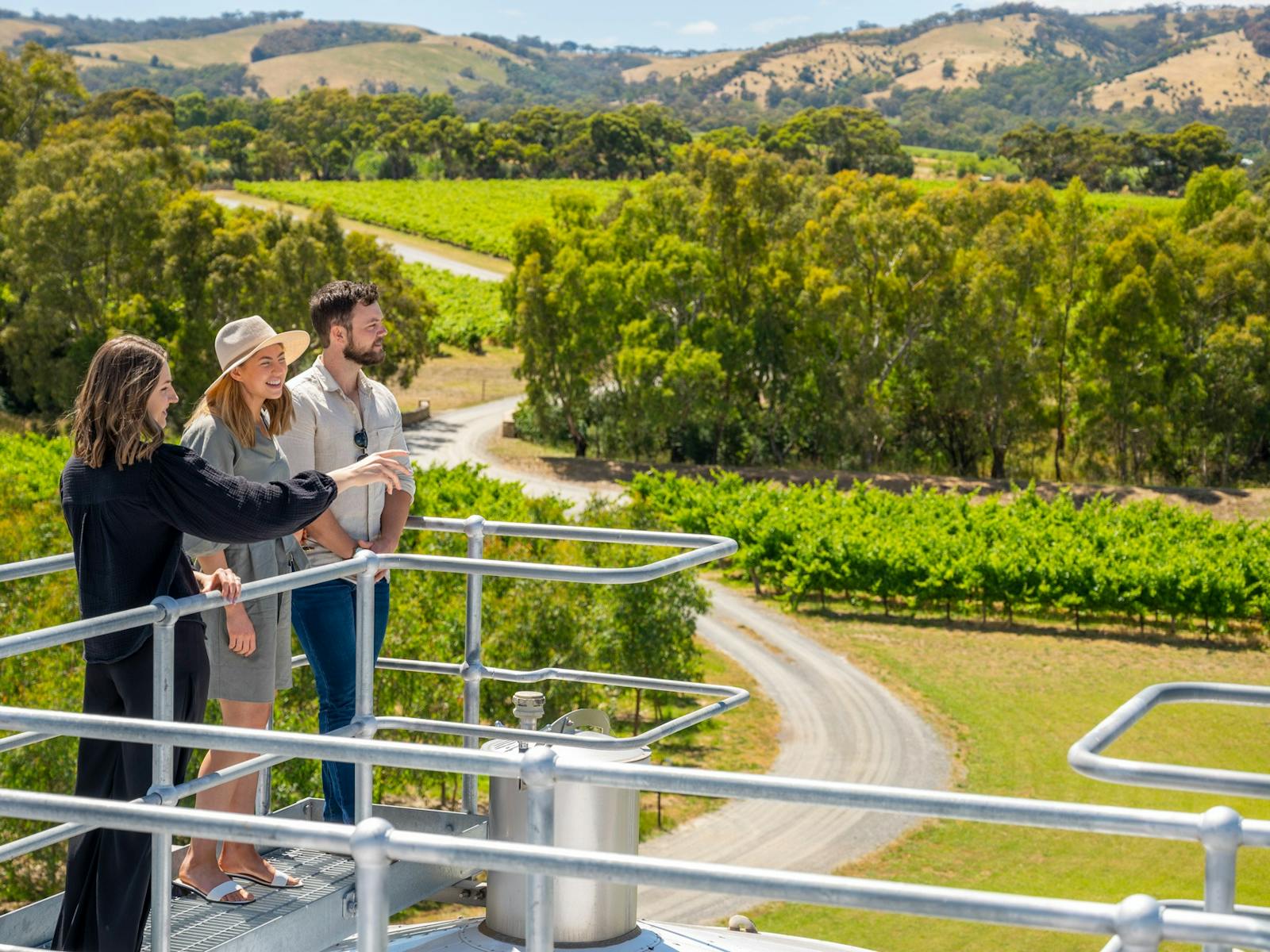 Views on our winery tours