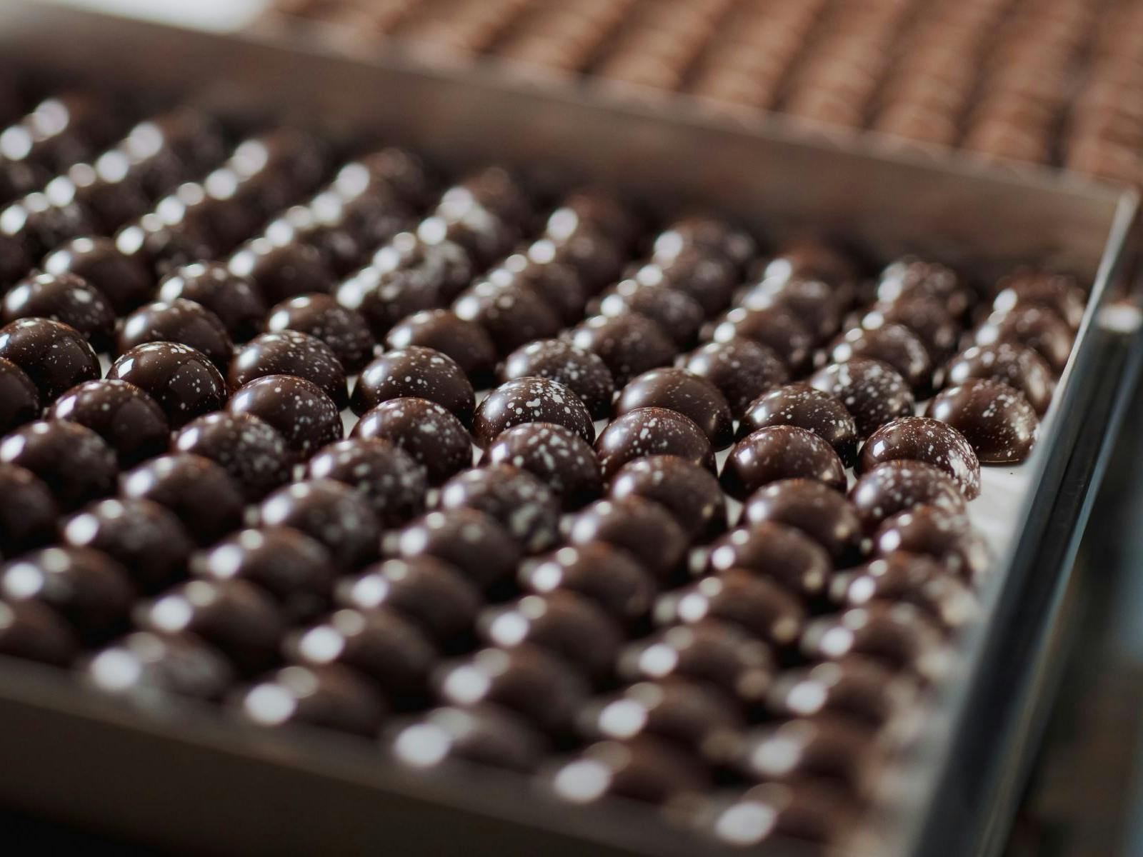 Rows of chocolates