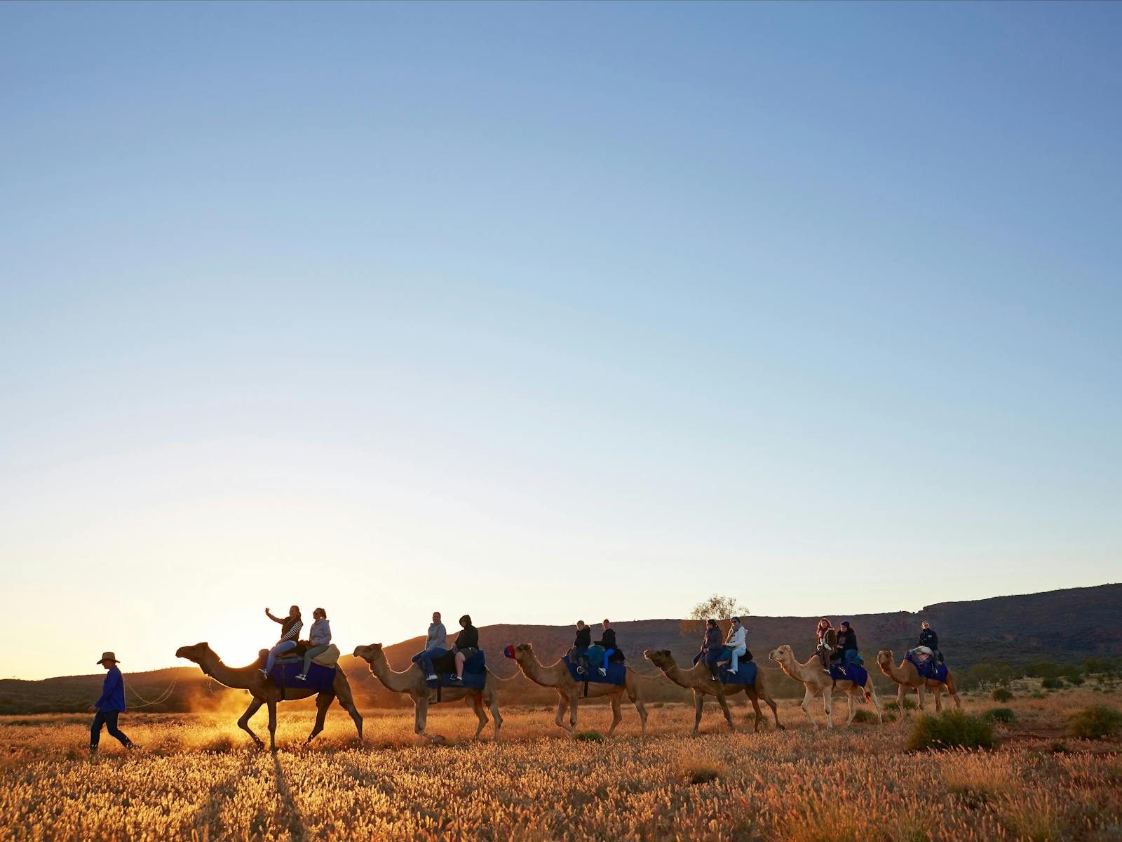 Camel ride with Pyndan Camel Tracks