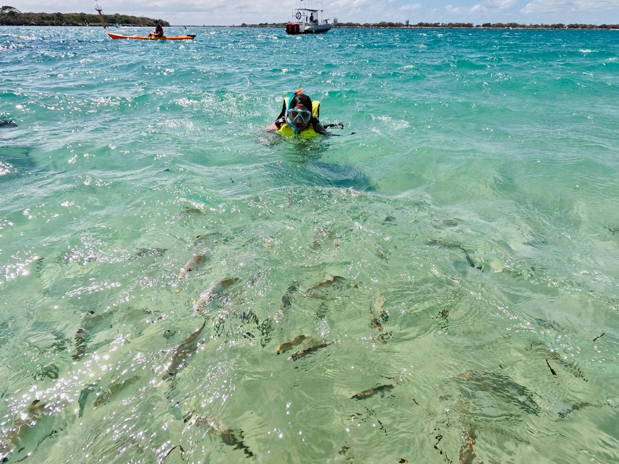 Swimming with the fish