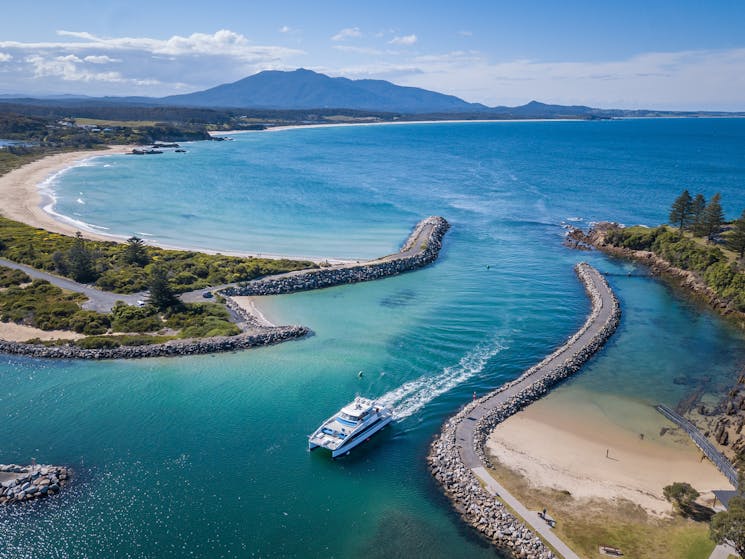 Bermagui Harbour, fishing, whale watching, charters,  Sapphire Coast