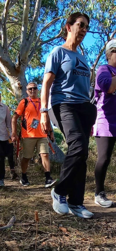 a group of people walking through the bush