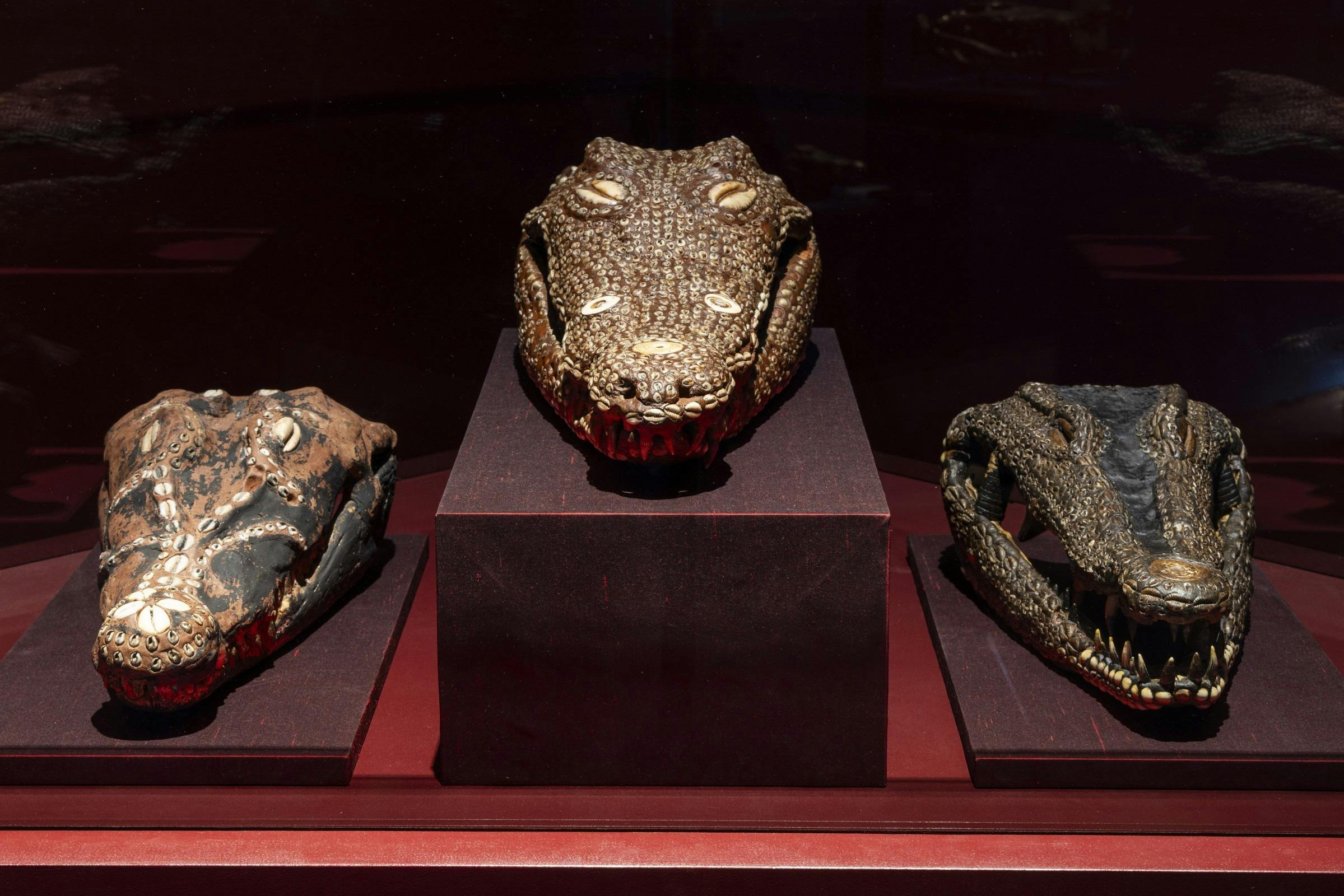 Humans across the world have powerful connections to the crocodile