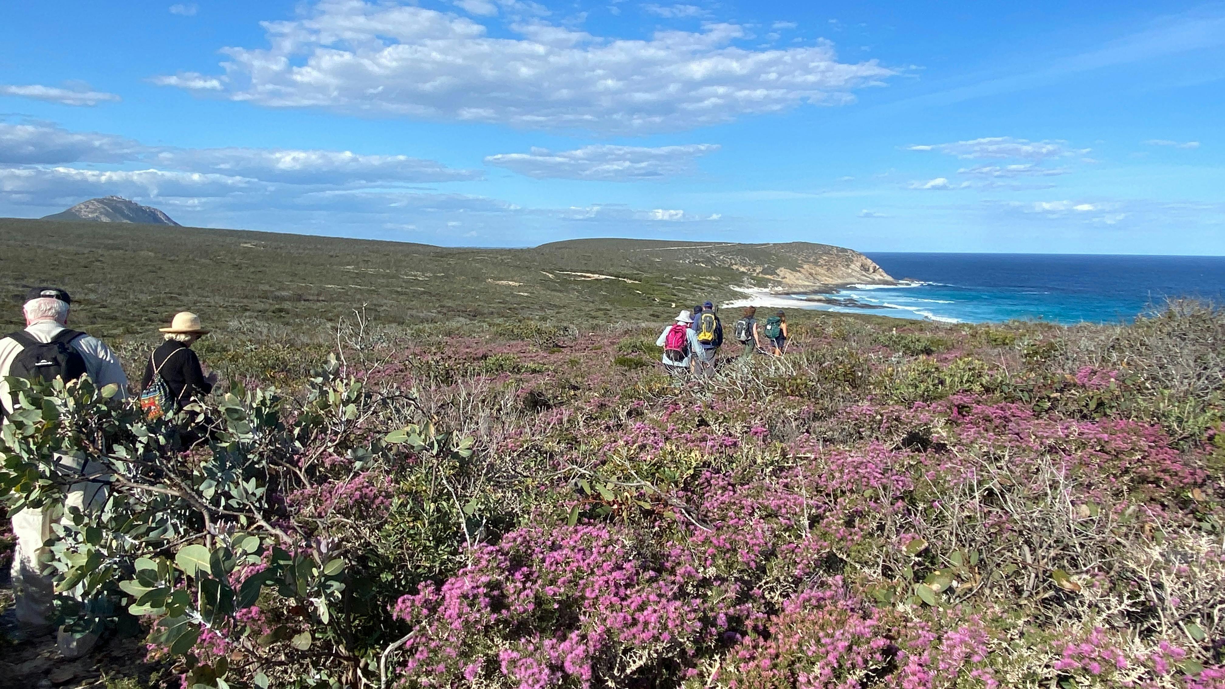walkers in the Fitzgerald River National Park - southern ocean in background