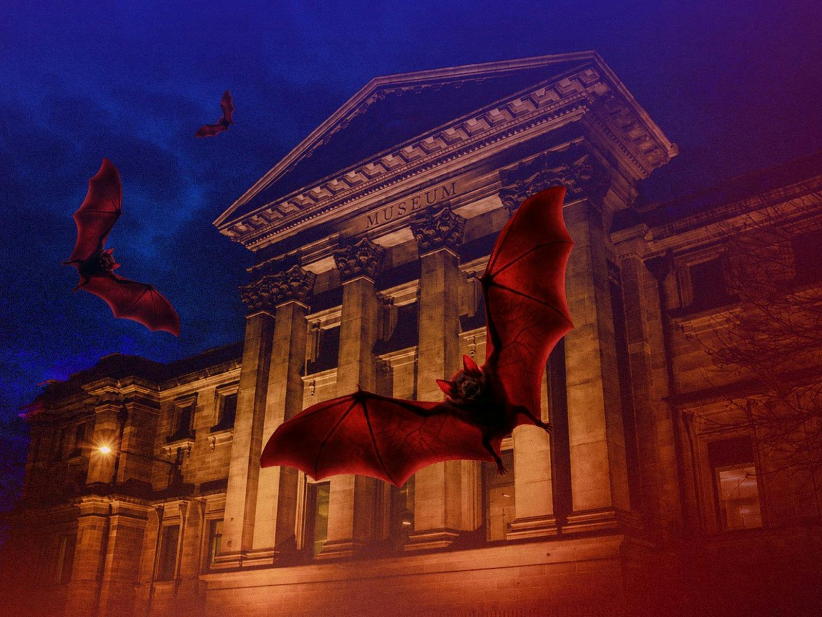 An artwork depicting bats flying in the night sky, outside the Australian Museum