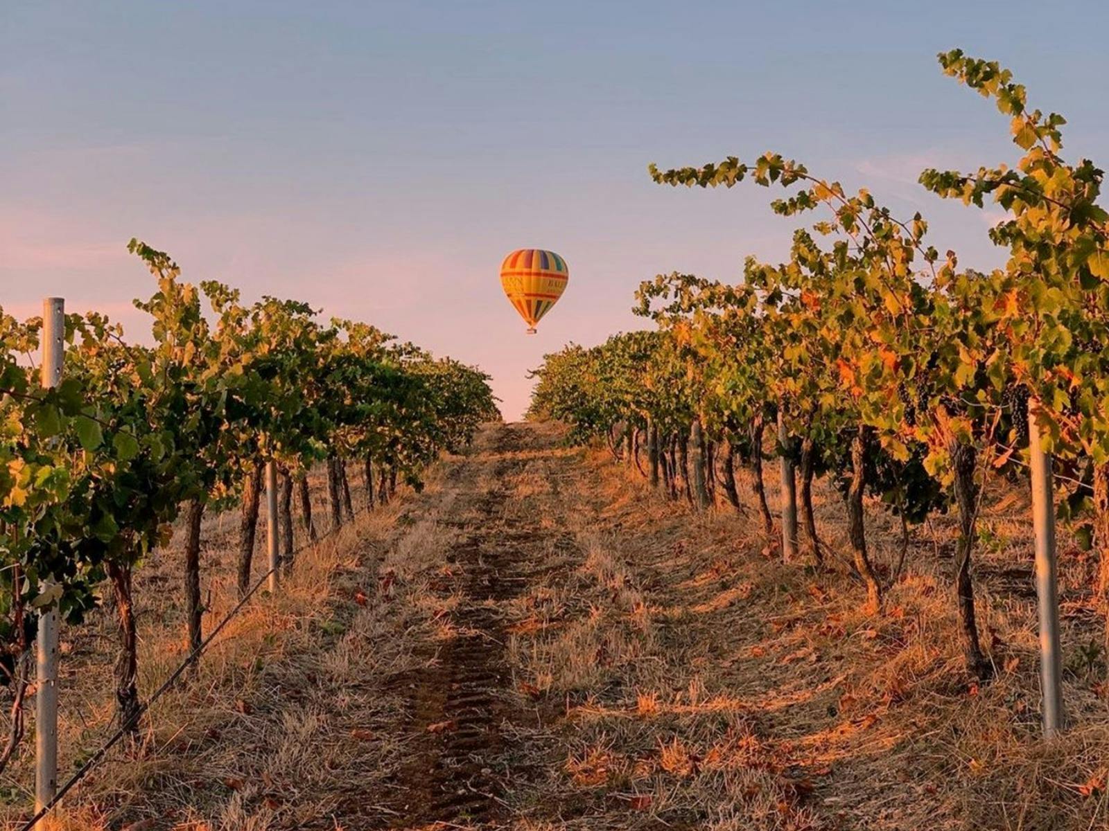 East Coast Car Rentals - Adelaide Airport