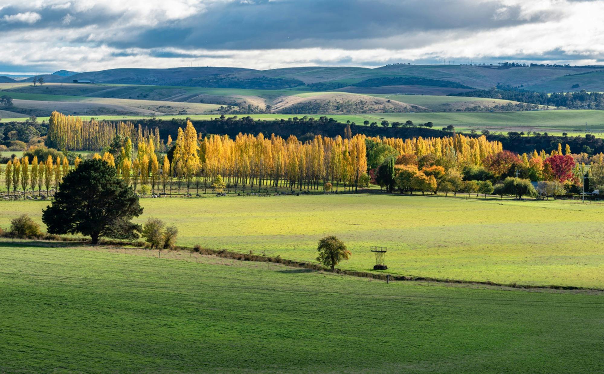 Tasmanian Autumn Festival