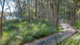 Anabranch Loop Track