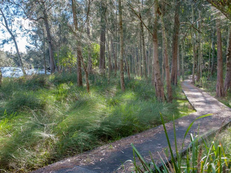 Anabranch Loop Track, Corramy Regional Park. Photo: Michael van Ewijk