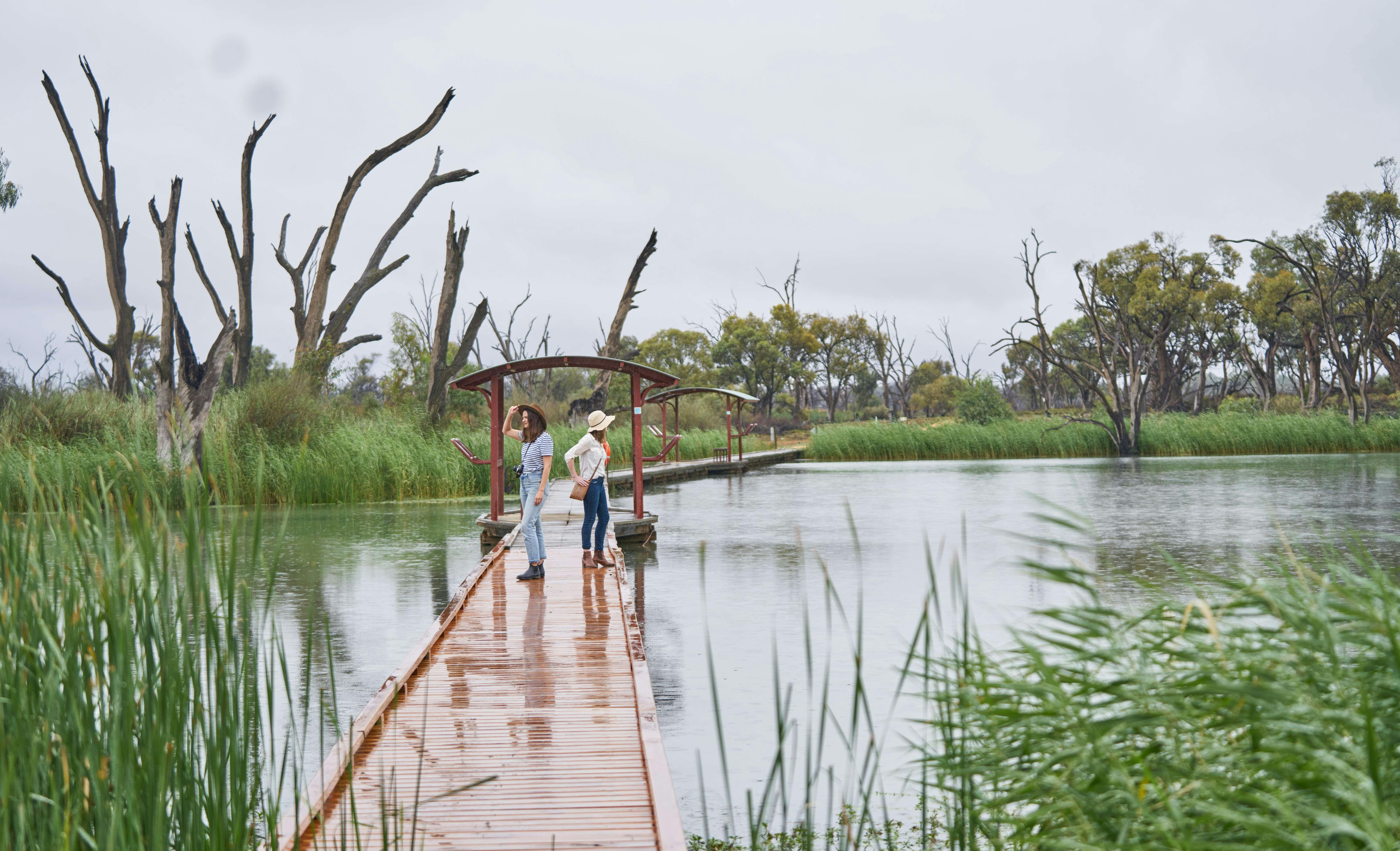 Banrock Station wetlands