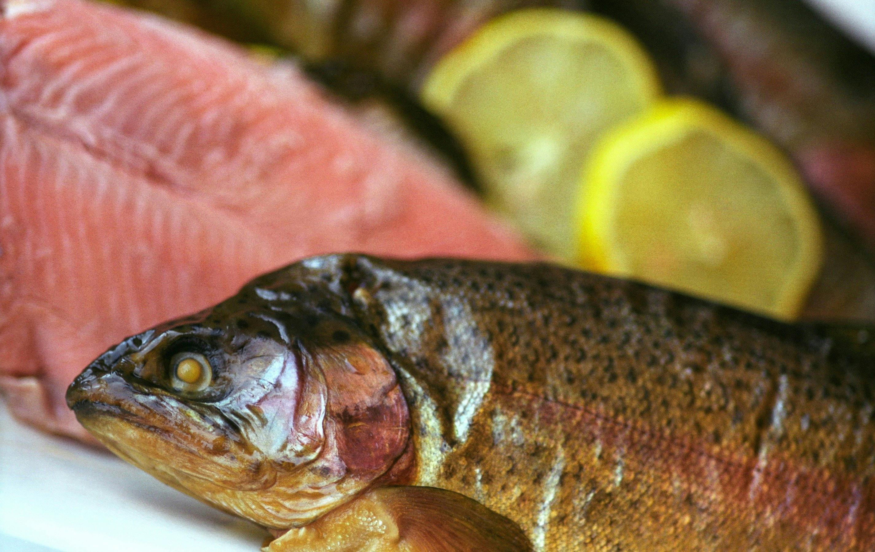 Smoked Trout