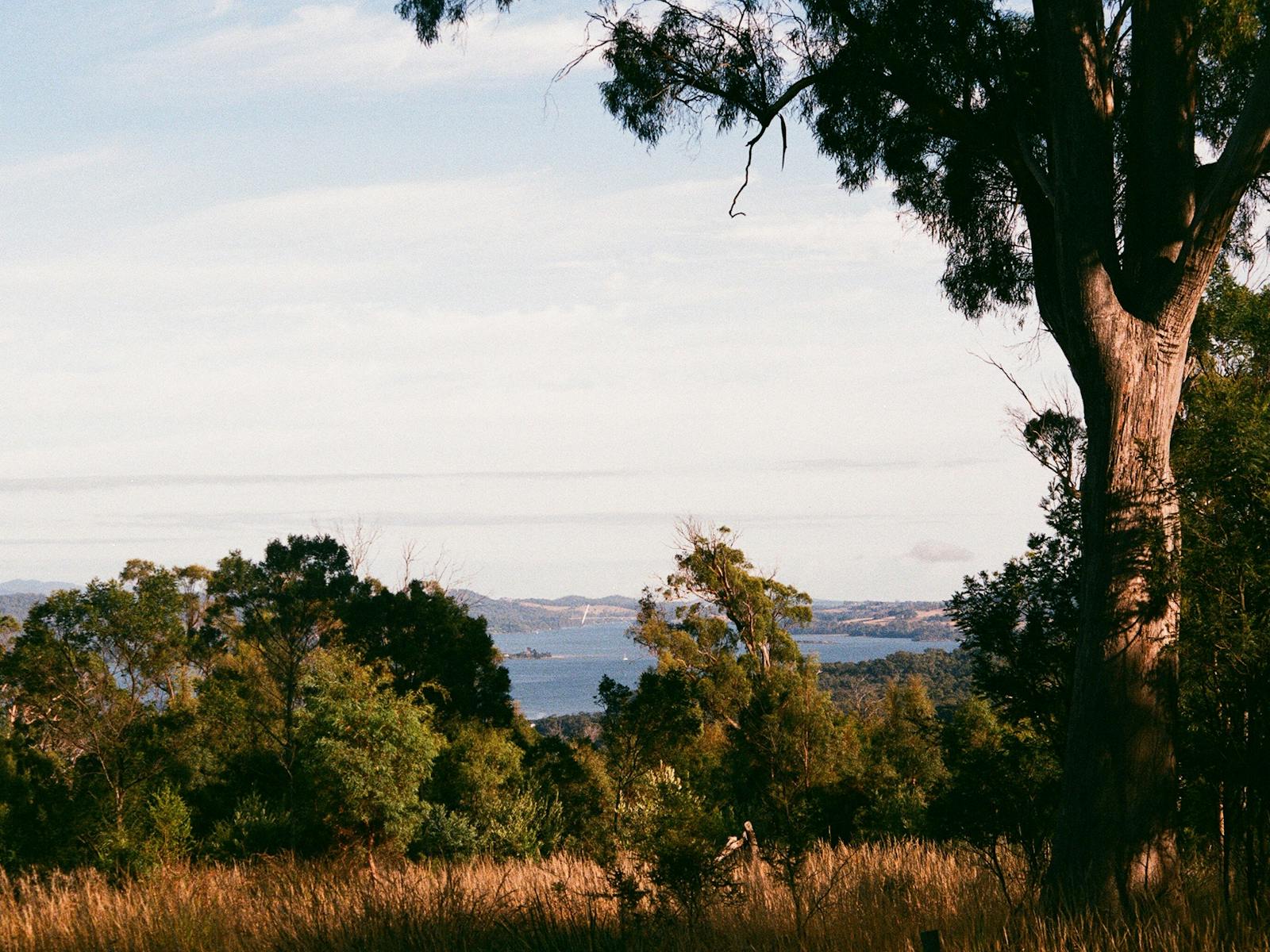 Batman Bridge in centre of photo. Taken with Canon T50 film camera February-March 2017