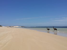 Coffin Bay National Park