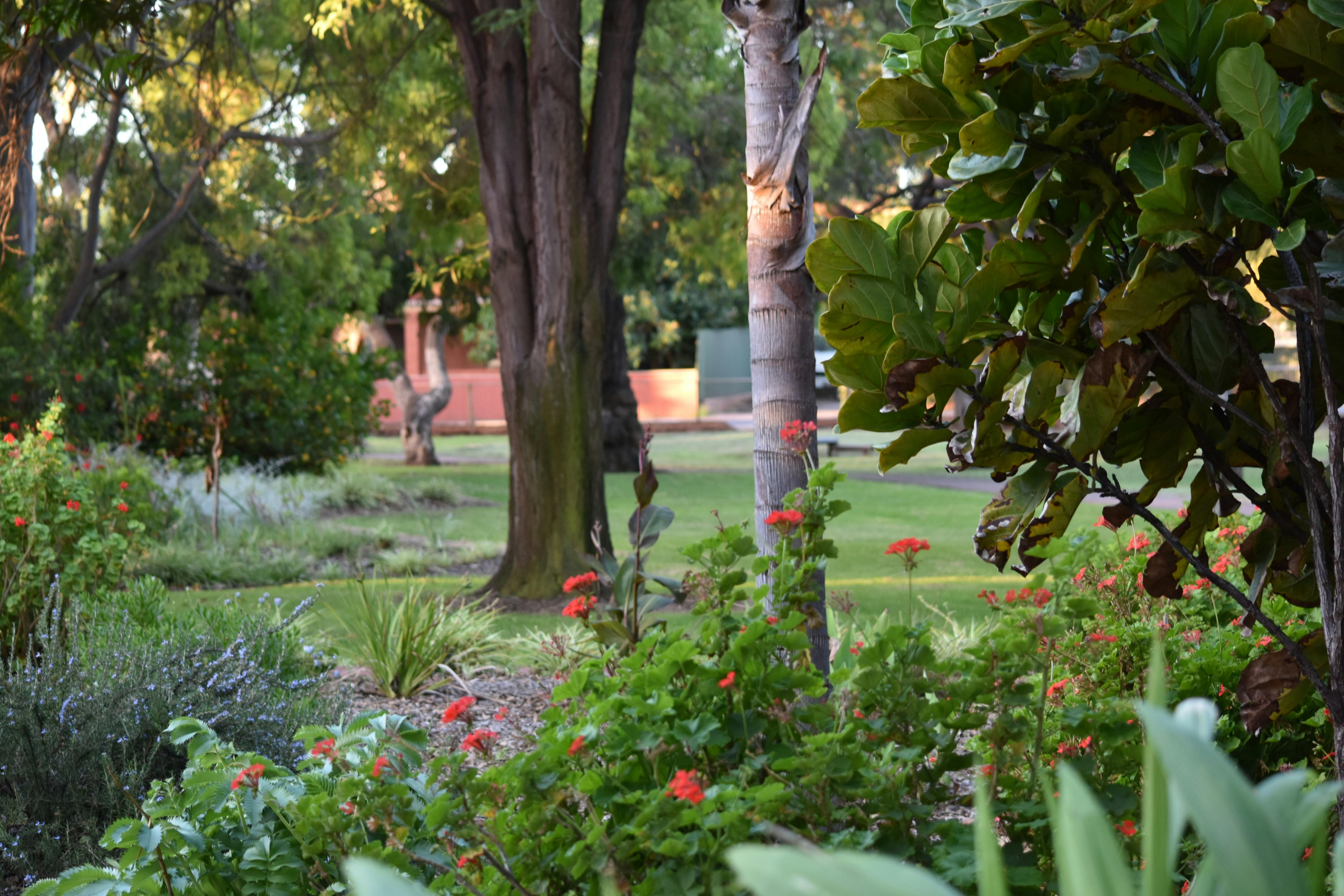 Ada Ryan Gardens