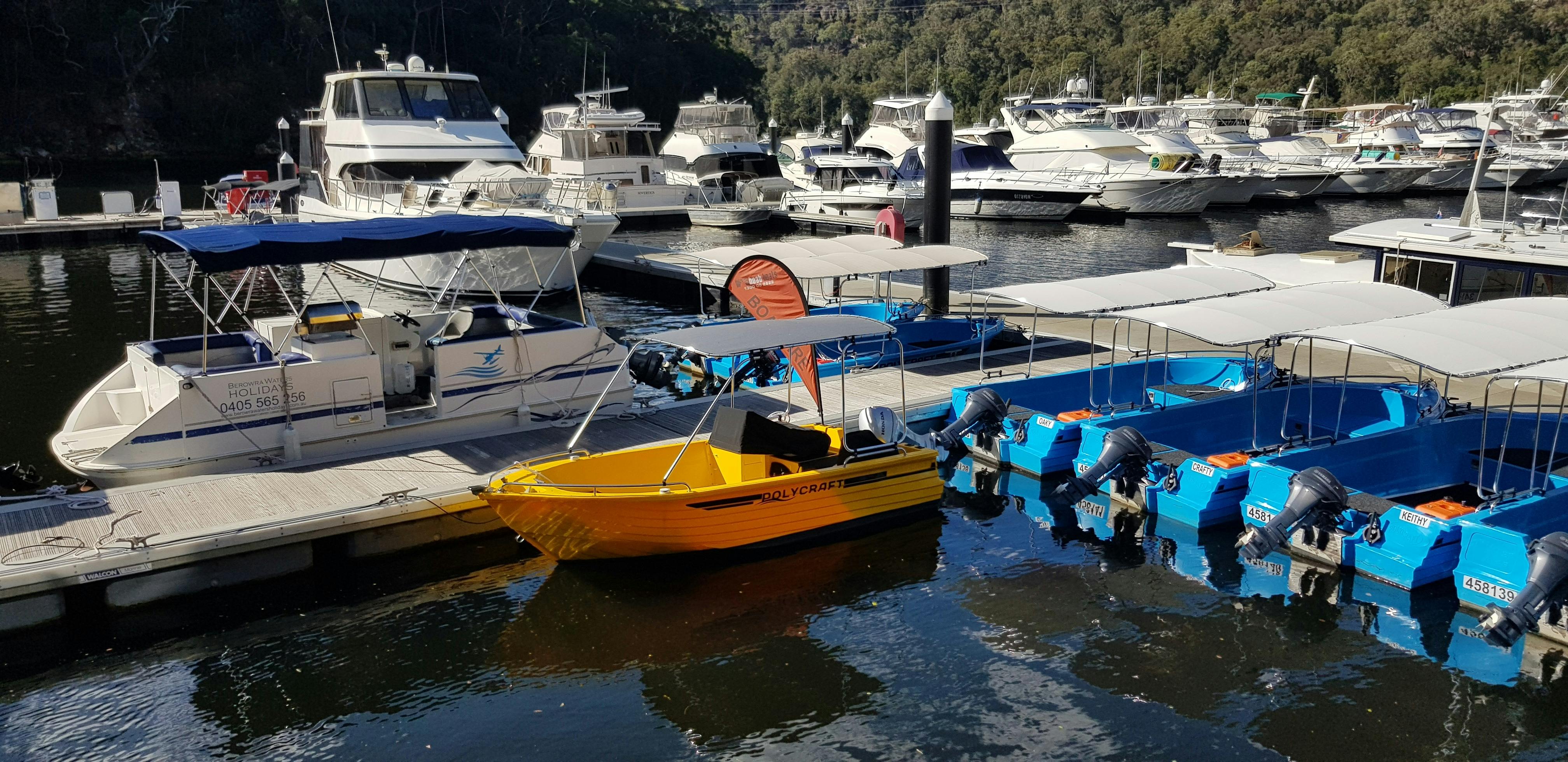 黄海鲂贝罗拉水域