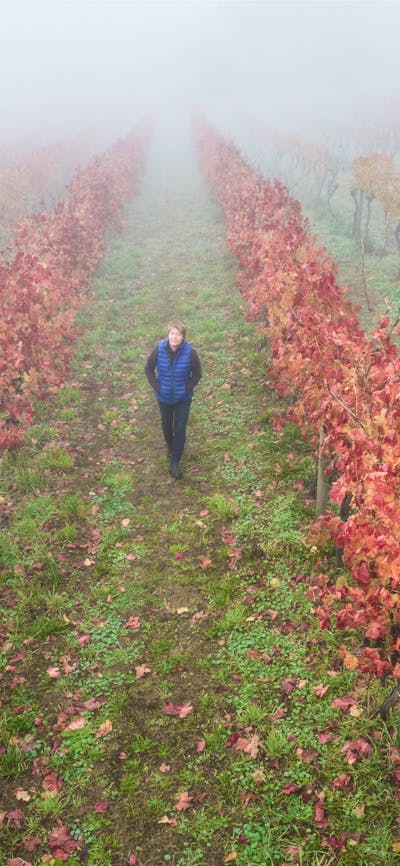 A winemaker walks in an autumn Canberra vineyard.