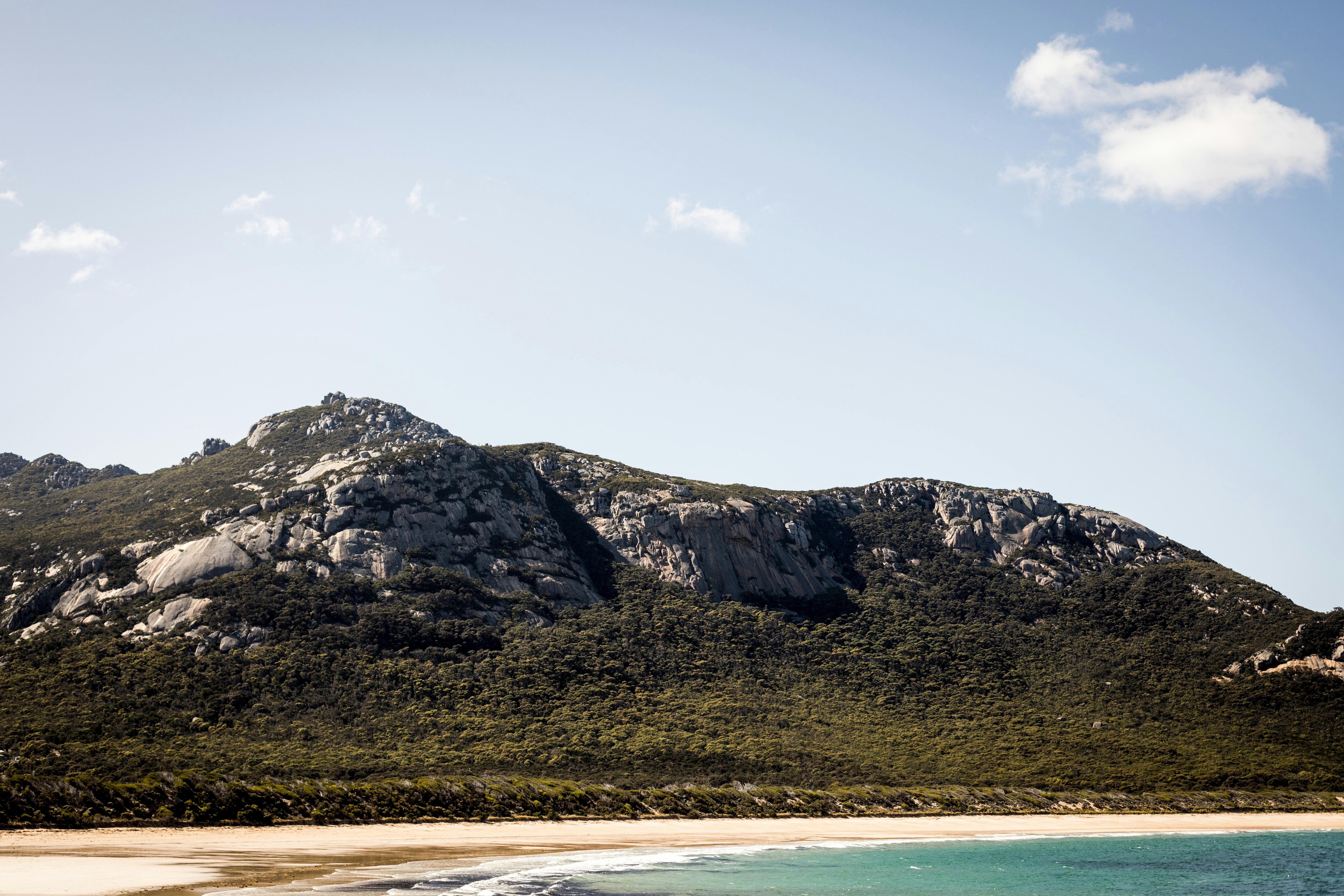 Strzelecki National Park