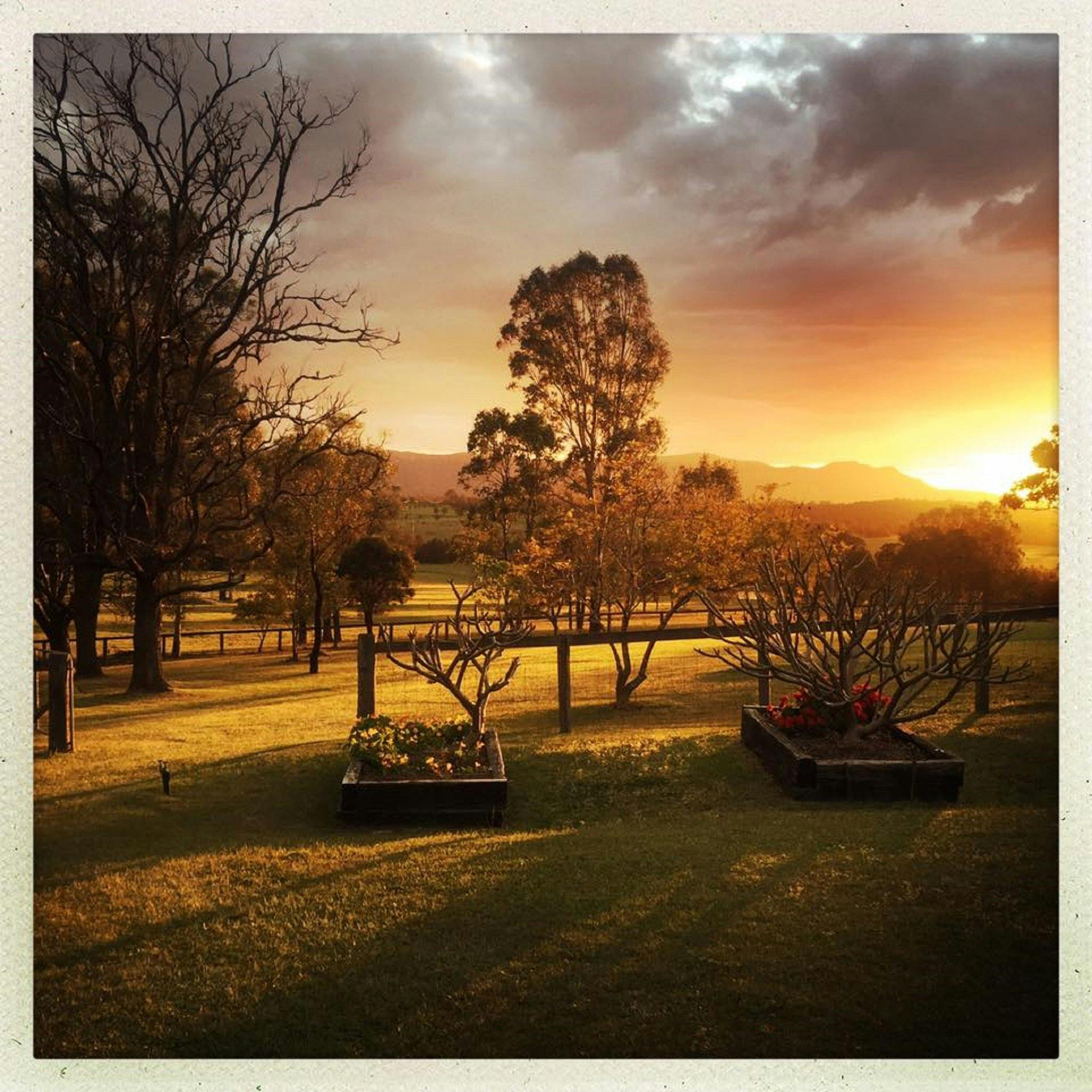 Lucy's Run Wines Pty Ltd